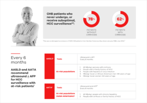 desktop screen mockup of the HepBMD website.